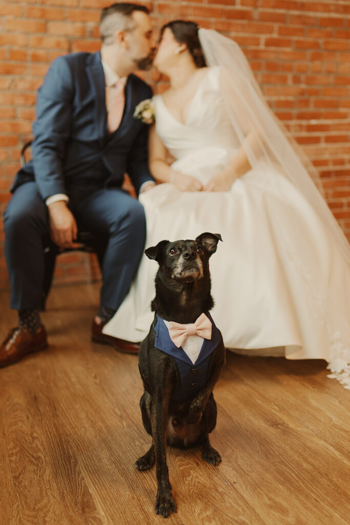 Dog-Friendly Wedding Kansas City