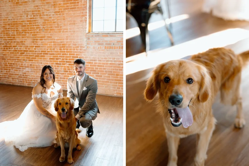 Bride and groom with their golden retriever Sunny at their pet-friendly wedding at UNION in Kansas City MO